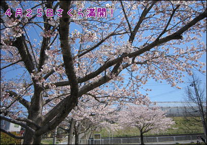 d0139352_21273641.jpg