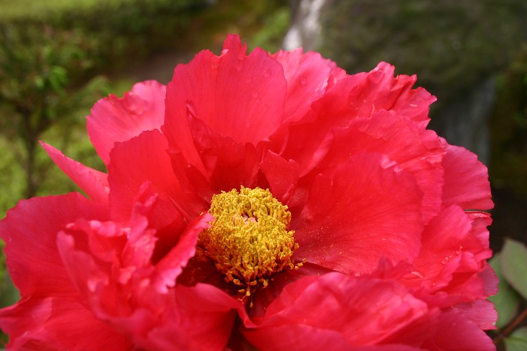 f0206452_12275081.jpg