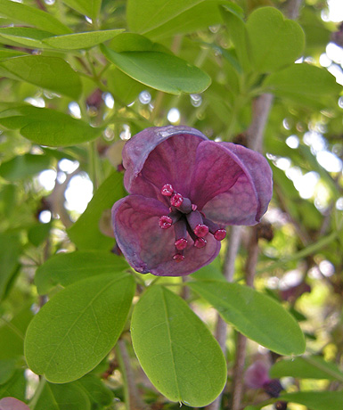 a0001354_23132379.jpg