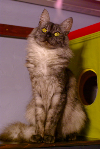 a0067056_328585.jpg