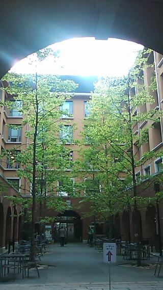c0105957_1555321.jpg