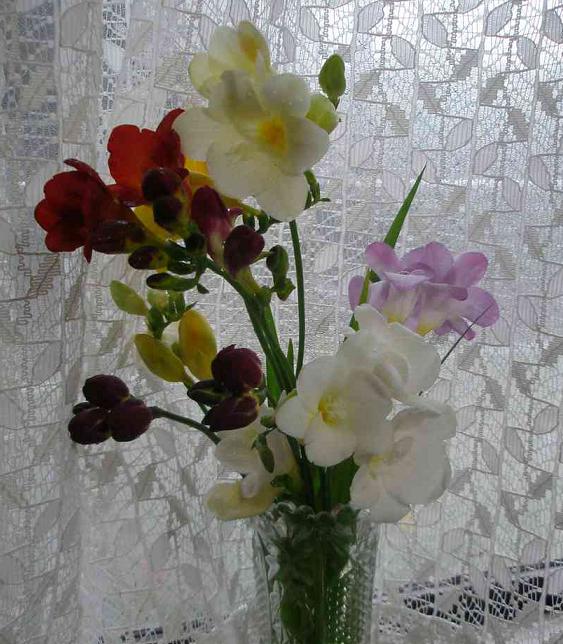 d0008157_03233.jpg