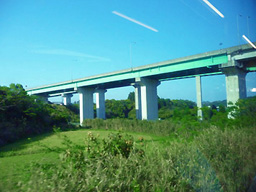 c0156359_1122470.jpg