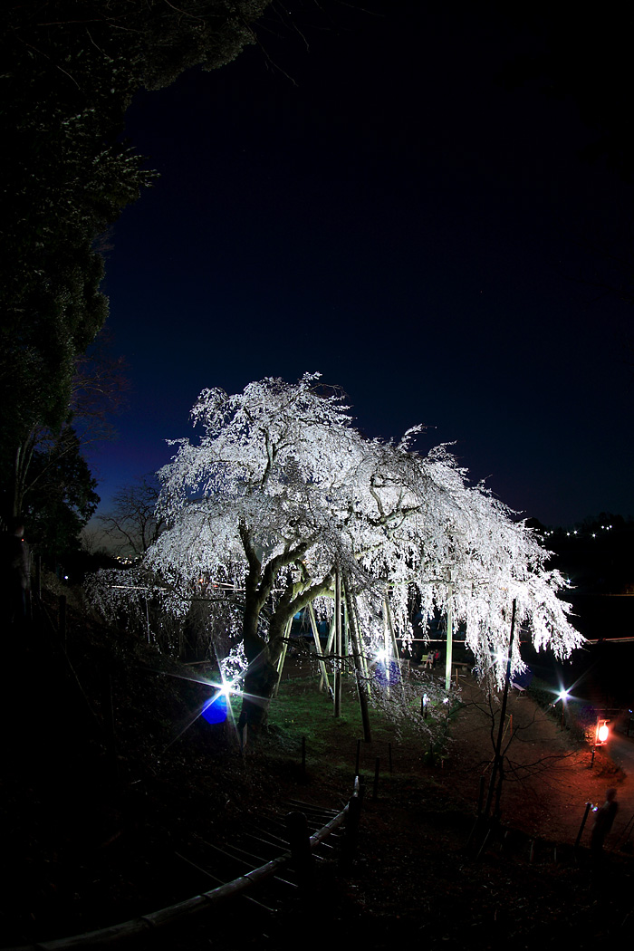 d0148060_1845752.jpg