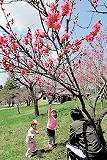 b0086362_17282756.jpg