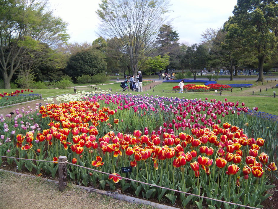 b0101263_23352540.jpg