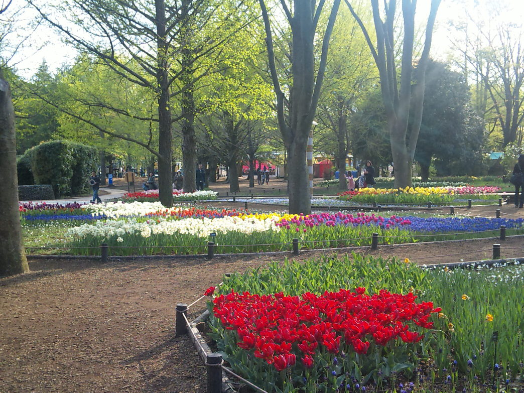 b0101263_2359924.jpg
