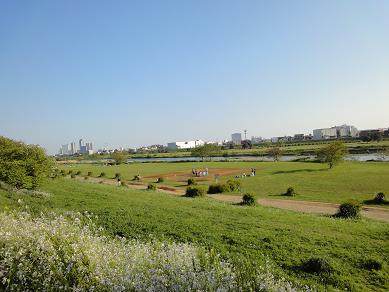 c0102268_1934213.jpg