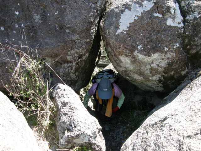 c0042869_19385545.jpg