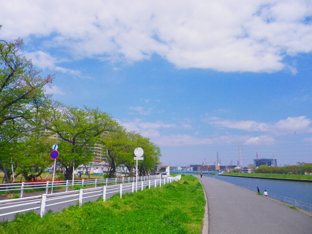 e0078069_6345888.jpg