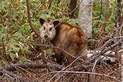 f0182173_10145316.jpg
