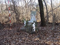 b0004675_20591898.jpg