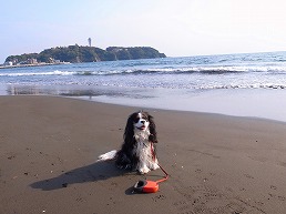 f0030875_23385475.jpg
