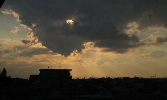 a0152078_1291146.jpg