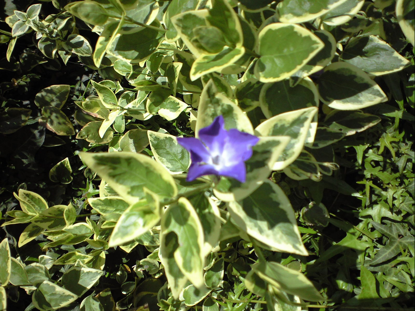 a0152078_20212793.jpg