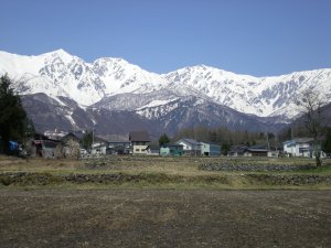 e0014678_1755348.jpg