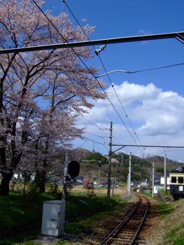 a0105480_0303850.jpg