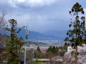 a0105480_030688.jpg