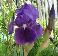 d0015580_18352239.jpg