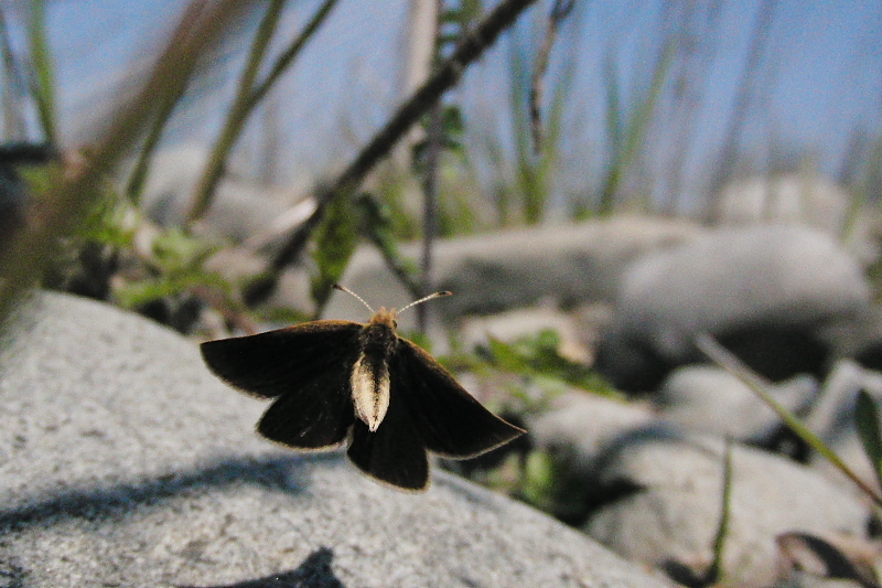 f0090680_21214998.jpg