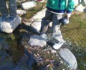 f0237680_22112512.jpg