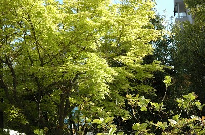b0042882_2092714.jpg