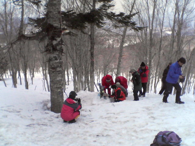 a0007388_10554145.jpg