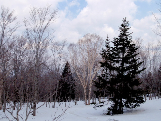 a0007388_15531066.jpg