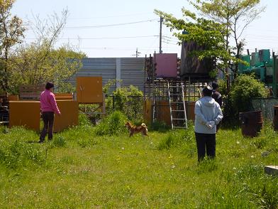 c0123890_2003319.jpg