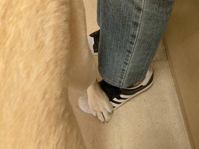 c0028792_22365329.jpg