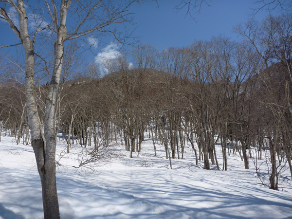 a0043193_18164547.jpg