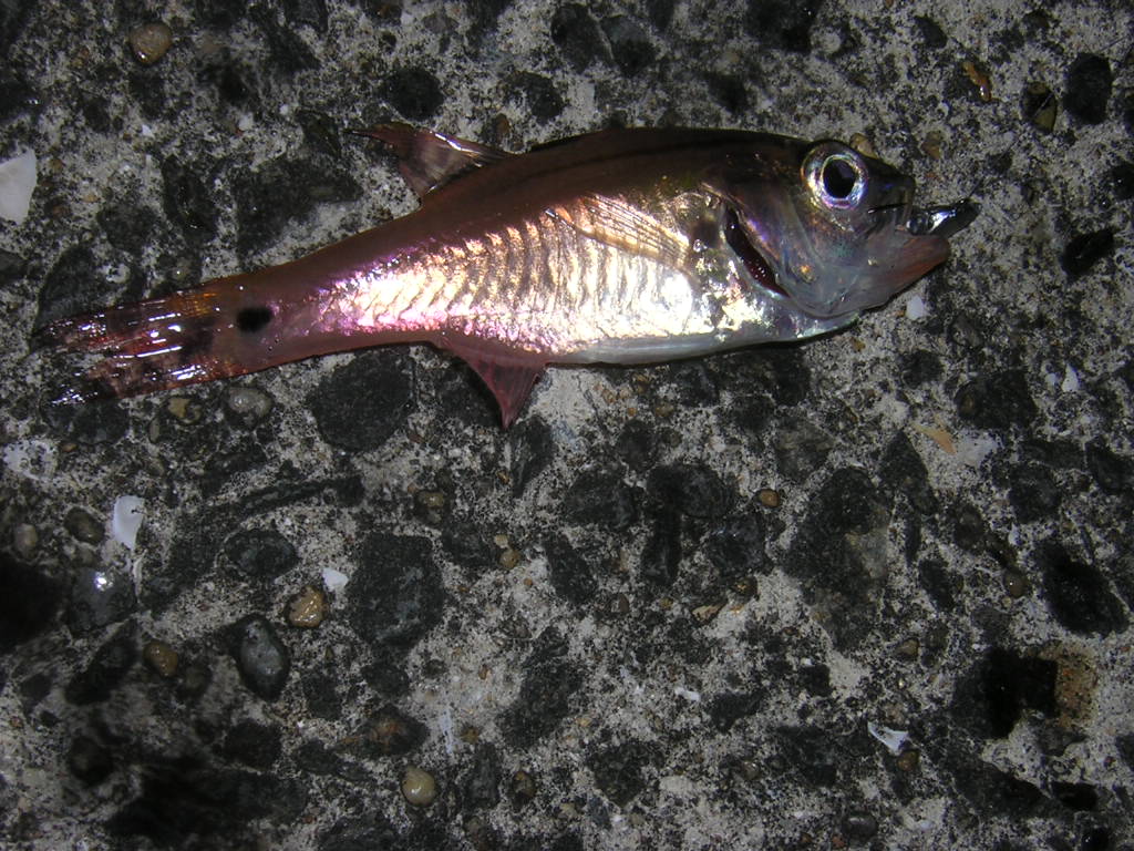 f0181793_2210543.jpg