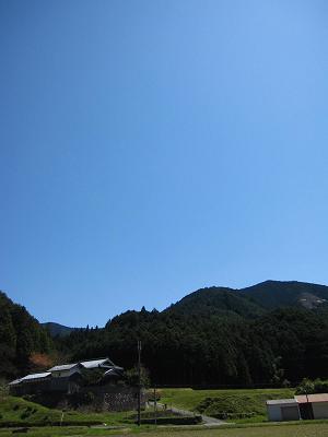 c0118495_1719551.jpg