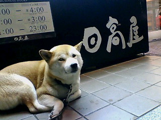 f0138995_062878.jpg