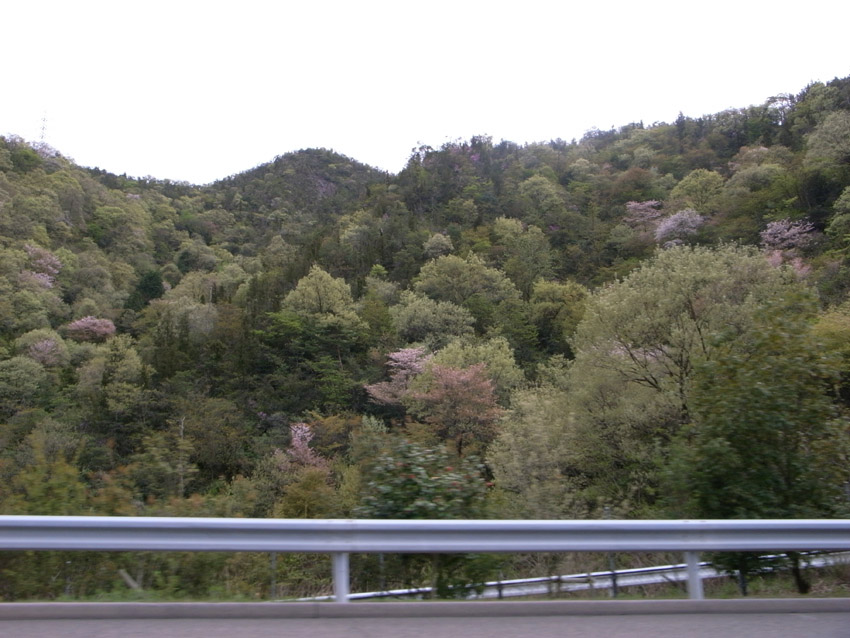 f0108399_9432226.jpg