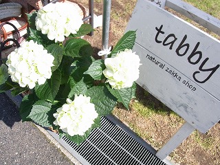 b0175400_19442999.jpg