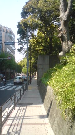 c0202101_1657354.jpg