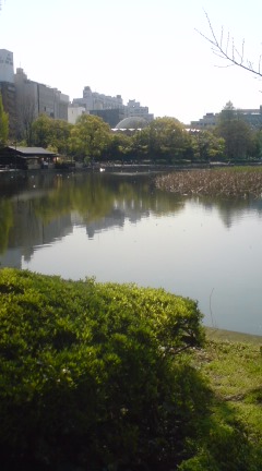 c0202101_1784645.jpg