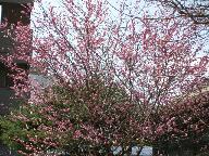 f0055803_13422793.jpg