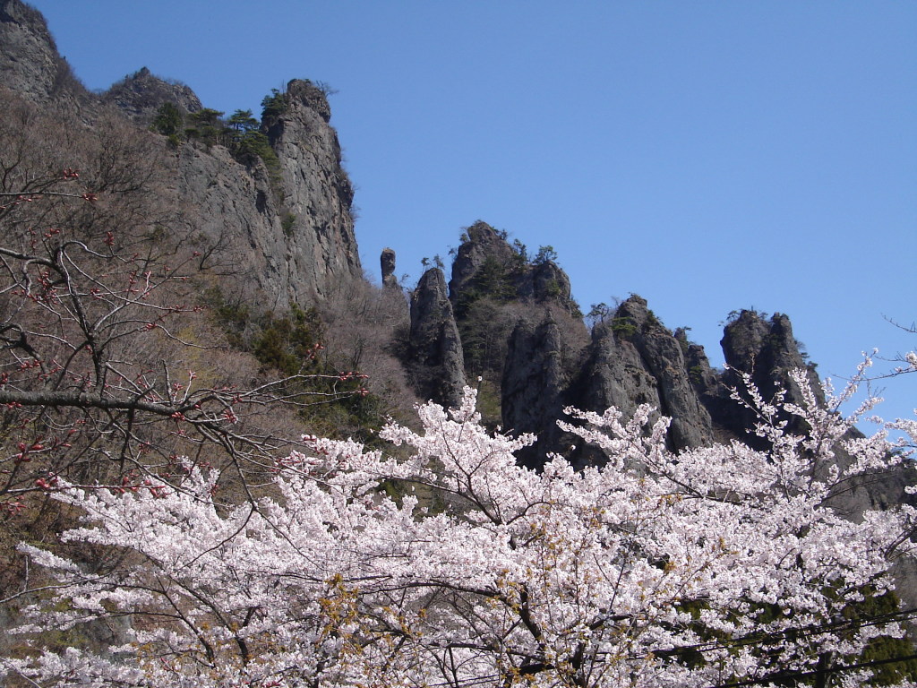 a0116205_23145292.jpg