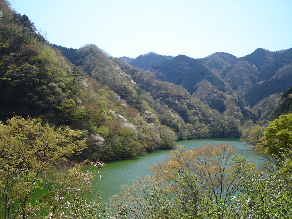 a0116205_23223373.jpg