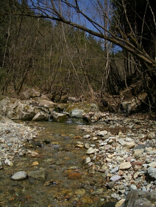 b0172805_9551572.jpg