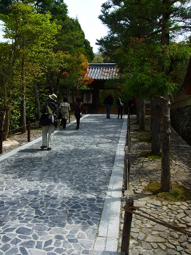 c0162005_2340845.jpg