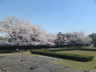 b0079206_012960.jpg