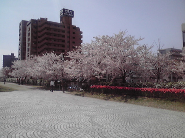 c0014906_131716.jpg