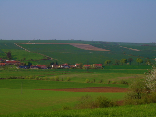 d0135907_21452773.jpg