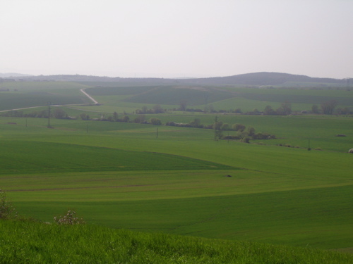 d0135907_21454954.jpg