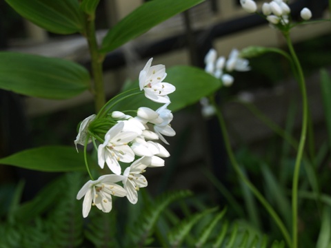 b0026408_23415769.jpg