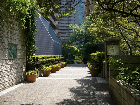 b0112909_17524820.jpg