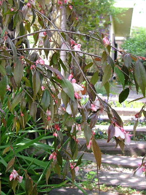 c0212214_22574325.jpg